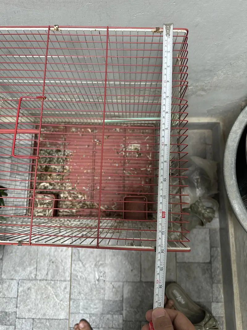 Parrot cage (Exchange with small cage) — photo 4