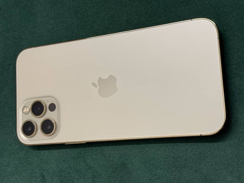 Apple iPhone 12 Pro 12