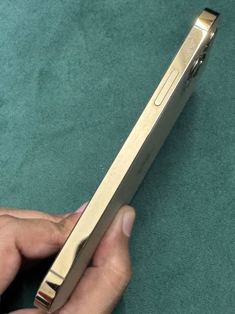 Apple iPhone 12 Pro 15