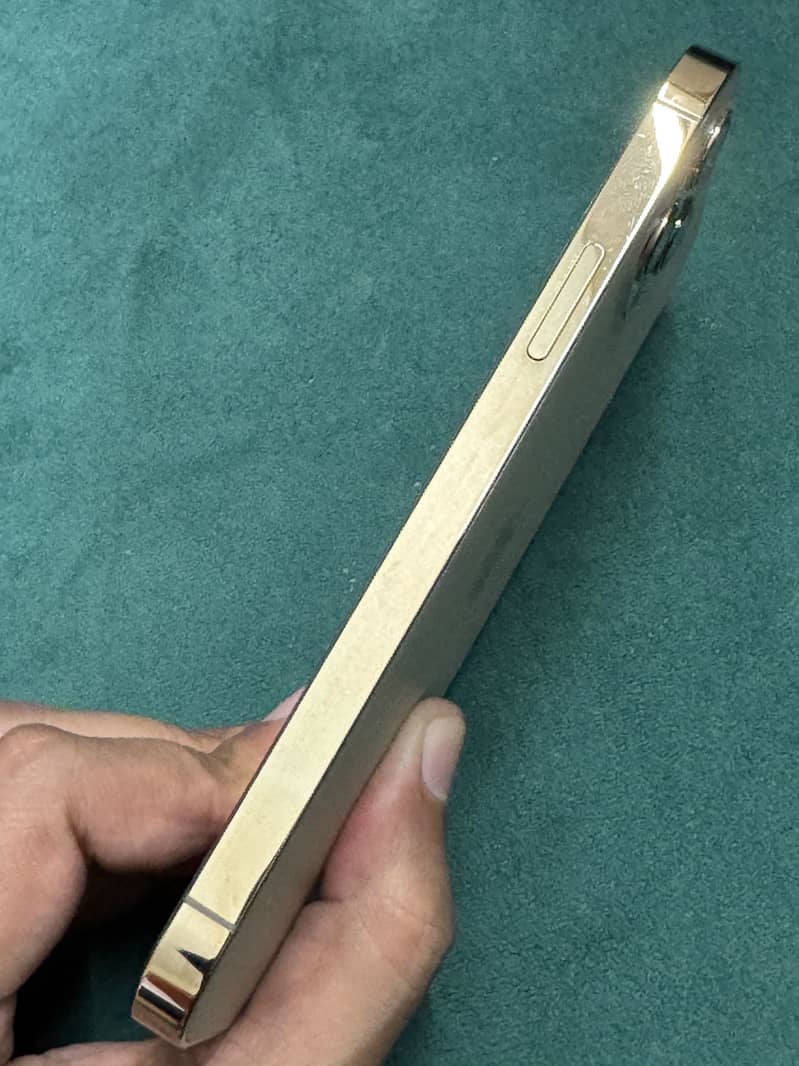 Apple iPhone 12 Pro 18