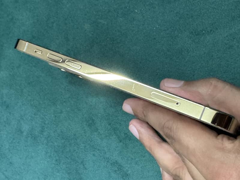 Apple iPhone 12 Pro 19