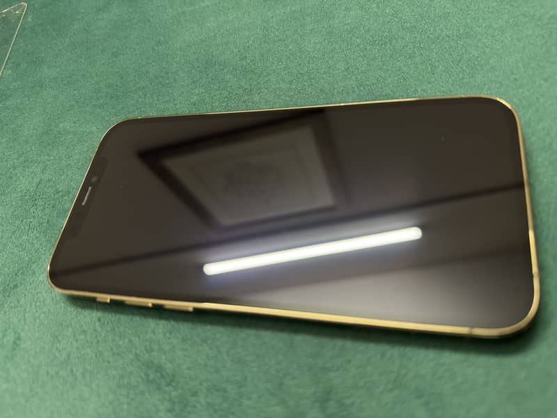 Apple iPhone 12 Pro 24