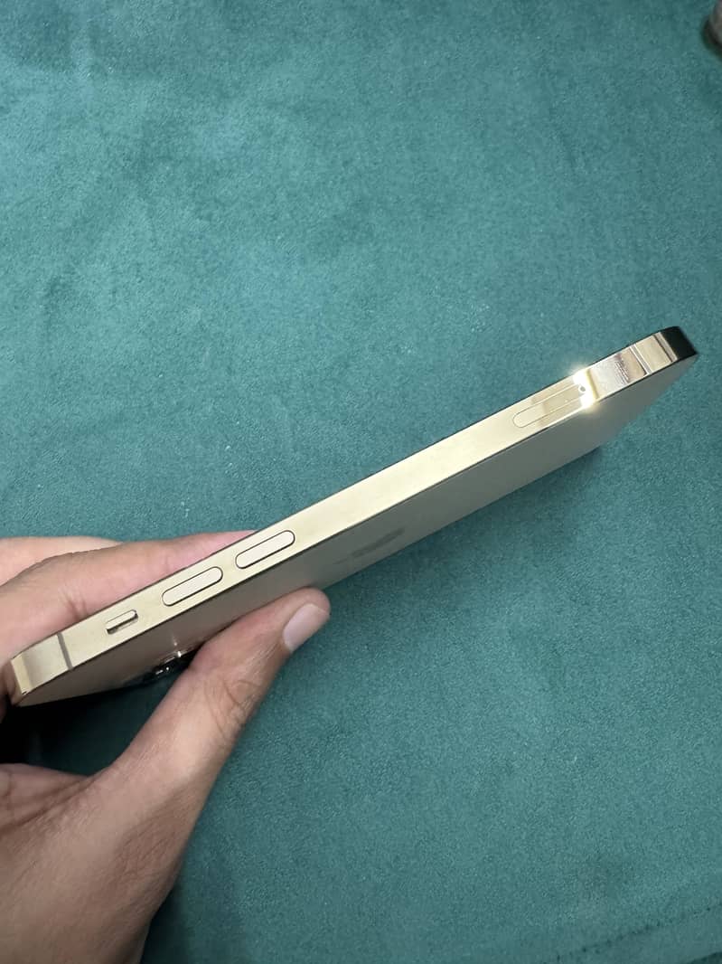 Apple iPhone 12 Pro 28