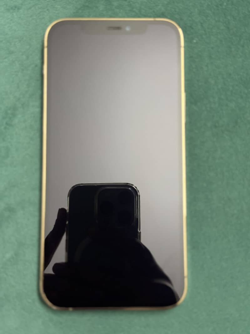 Apple iPhone 12 Pro 37