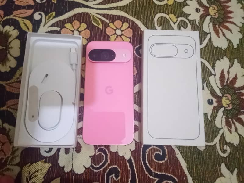 Google Pixel 9 1