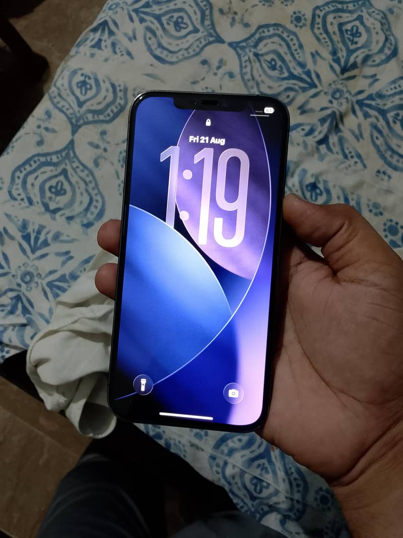 Apple iPhone 12 Pro Max 2