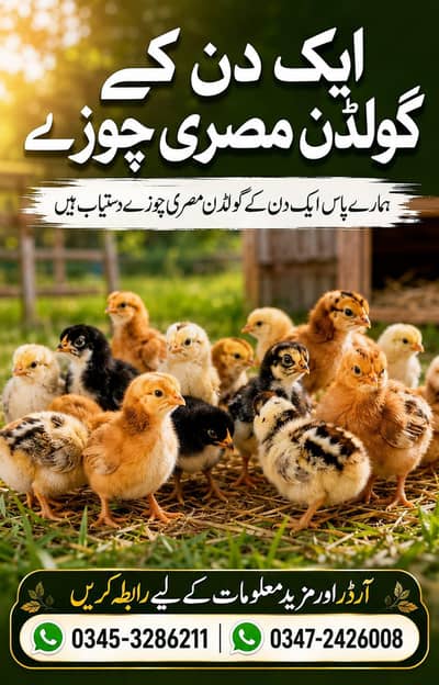 golden misri