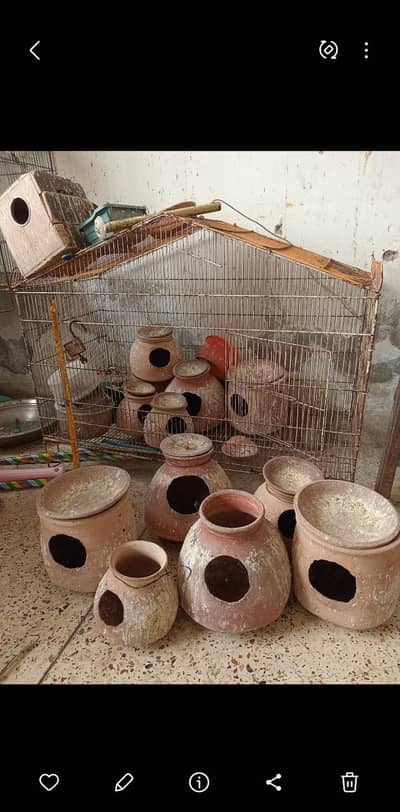 Mutki available