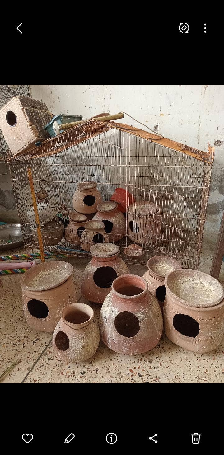 Mutki available 0