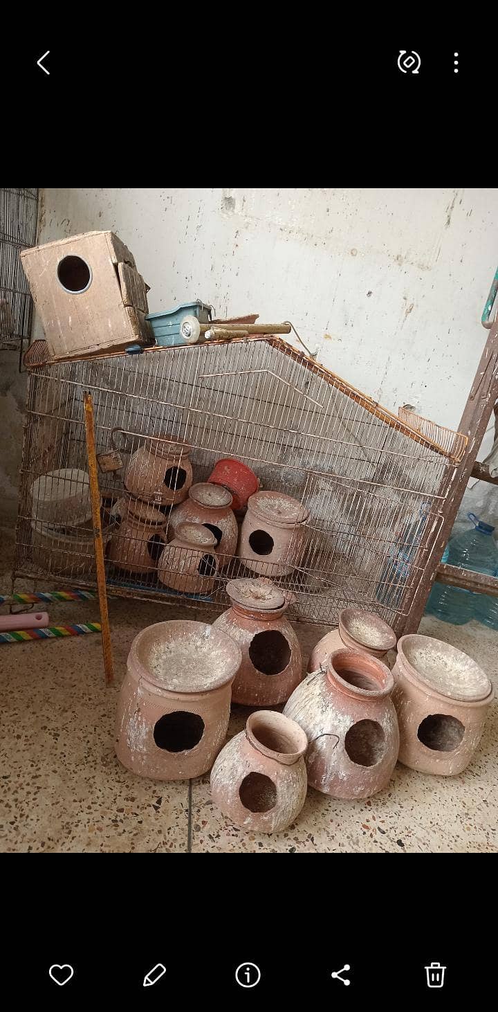 Mutki available 1