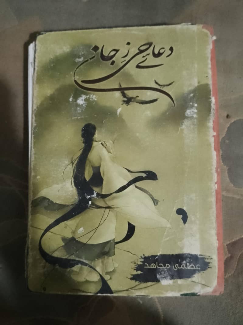 Urdu novel 0