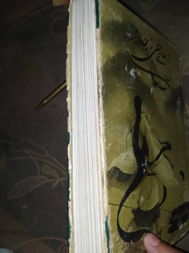 Urdu novel 2