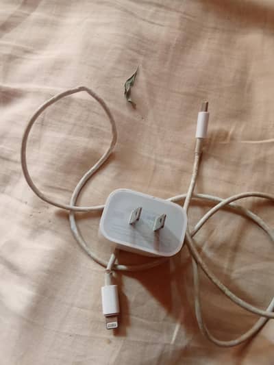 iphone charger