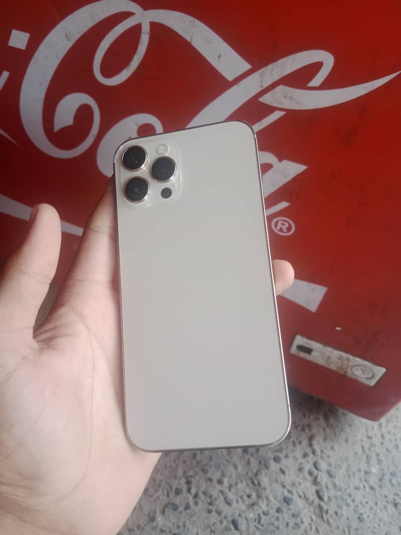 Apple iPhone 12 Pro Max 0