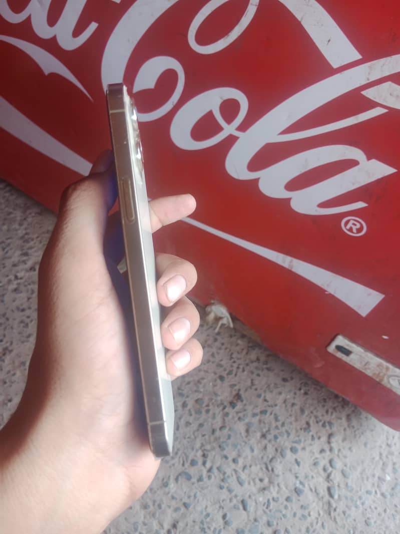 Apple iPhone 12 Pro Max 2