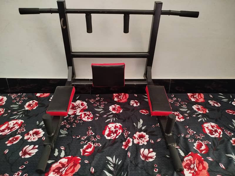 pull. up. bar. multiple exercises 2