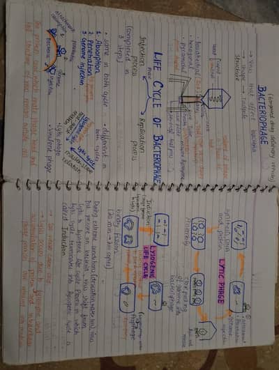 Aiou spring assignment