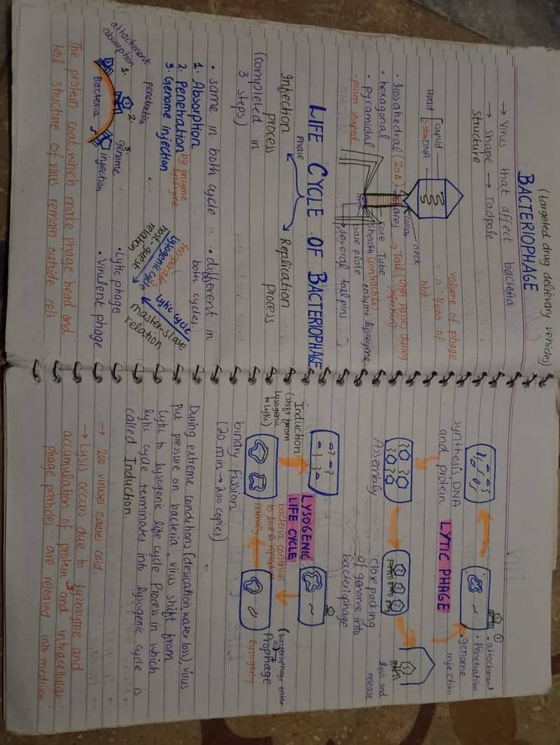 Aiou spring assignment 0