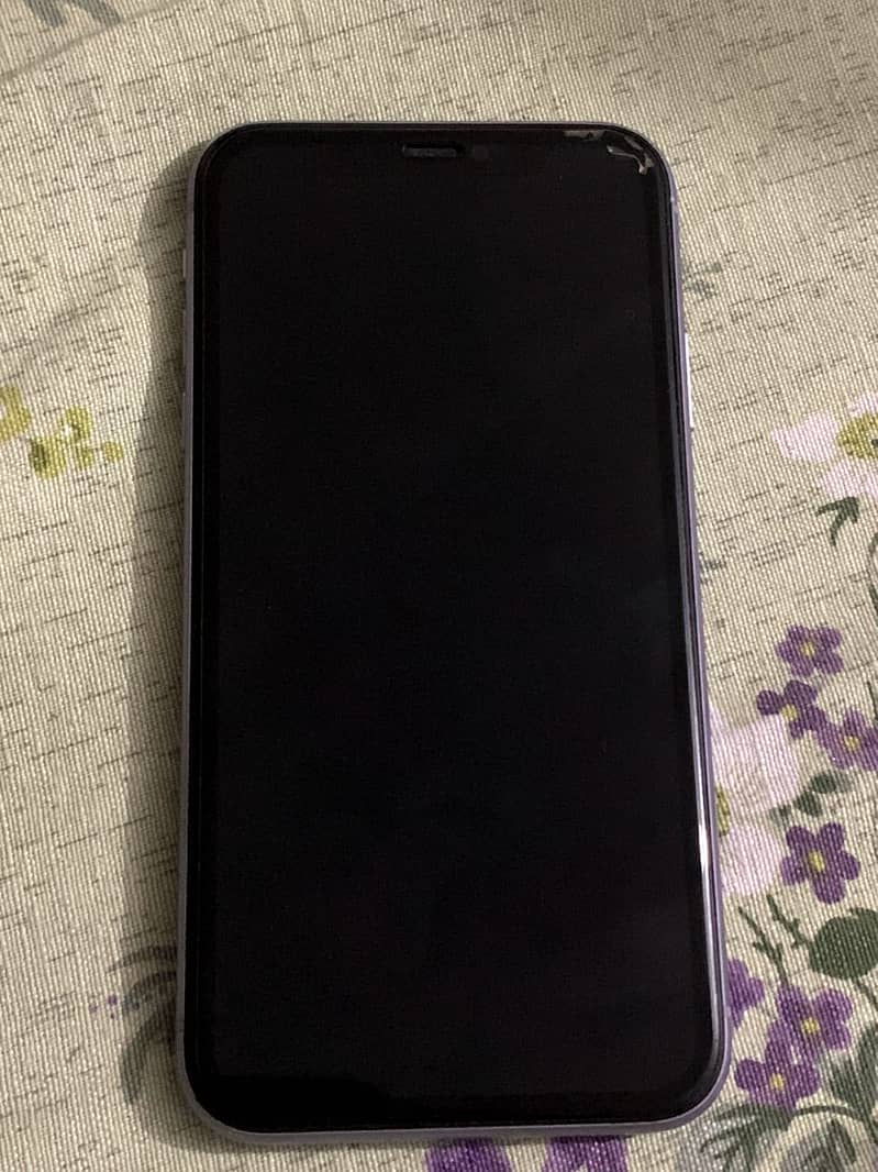 Apple iPhone 11 0