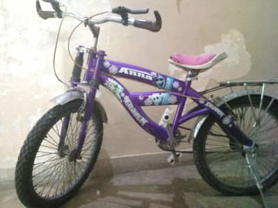 Frozen Theme Girls Bicycle - Purple