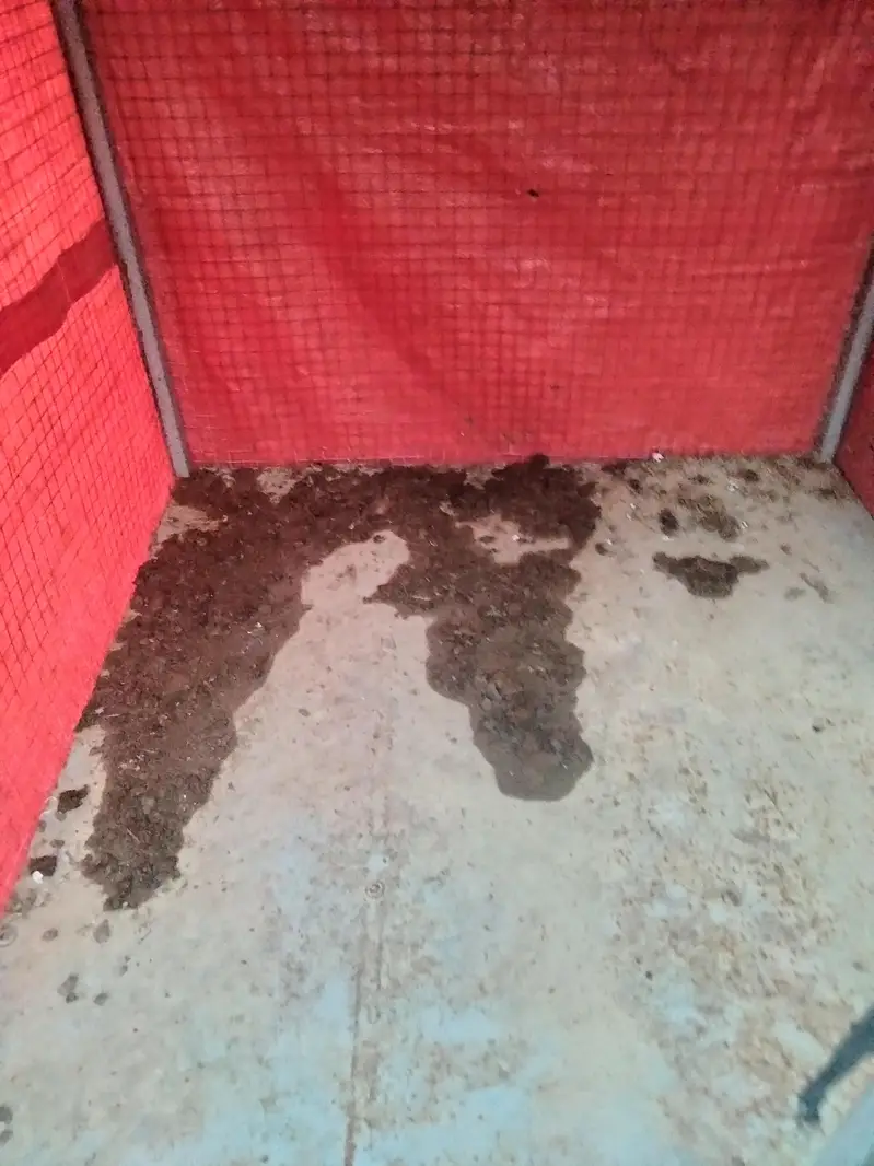 steel cage for sale urgent — photo 2