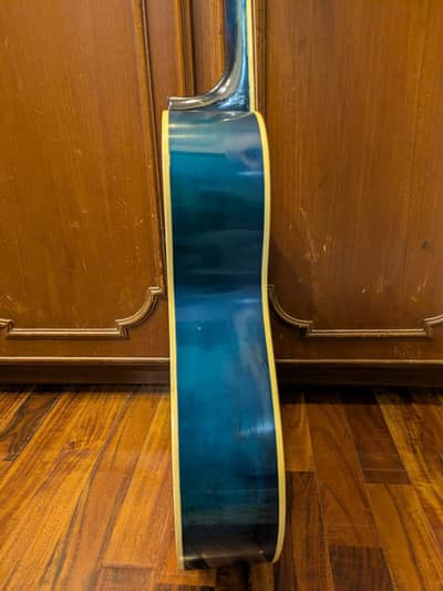 professional guitar
