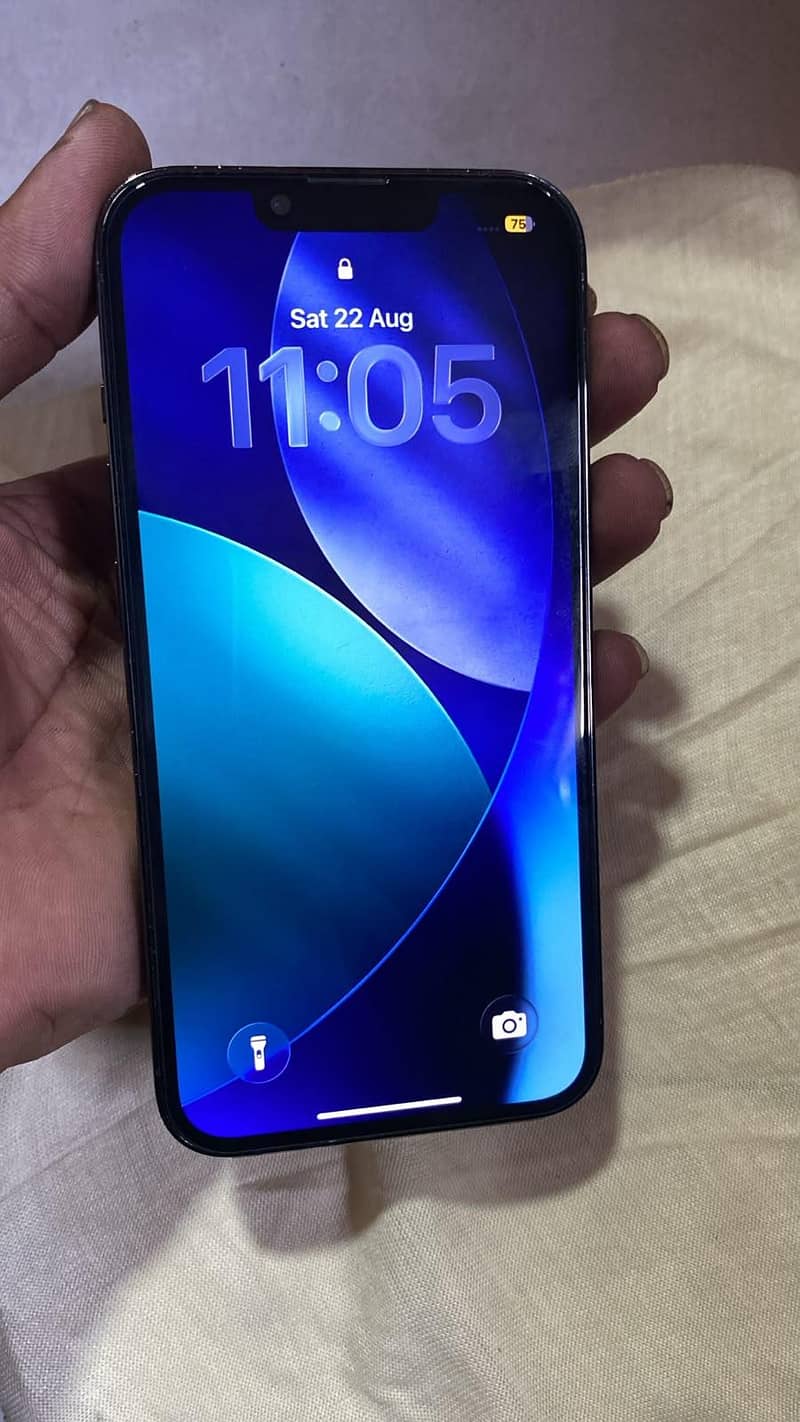 Apple iPhone 13 Pro 1