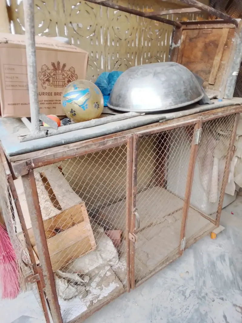 Iron Cage 3ft by 6ft — photo 2