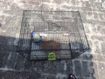 CAGE FOR SALE NEAT AND CLEAN