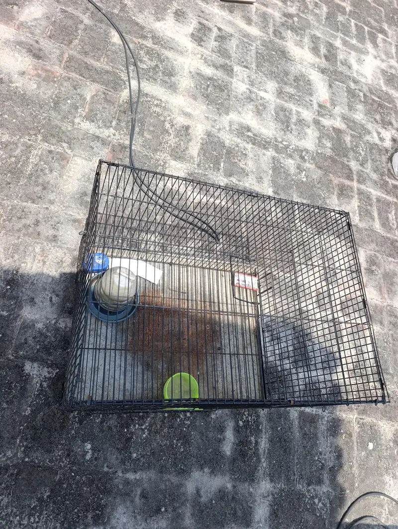 CAGE FOR SALE NEAT AND CLEAN — photo 2
