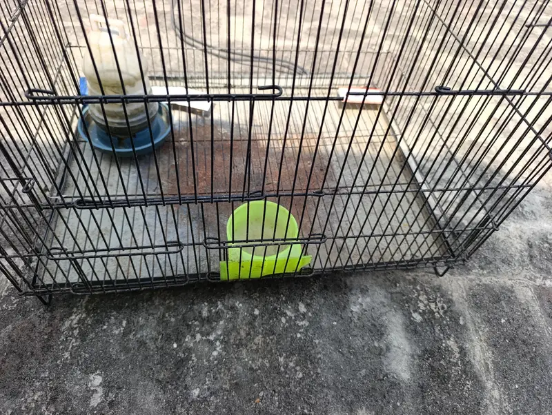 CAGE FOR SALE NEAT AND CLEAN — photo 3