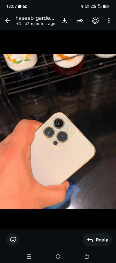 Apple iPhone 13 Pro Max