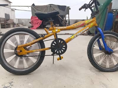 Japanese cycle trigon