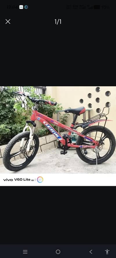 Stylish Mountain Bike For Sale