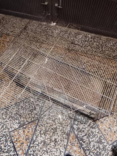 birds cage