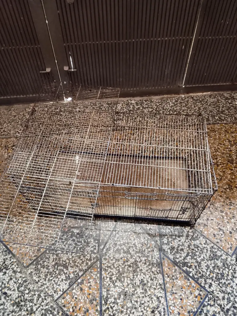 birds cage — photo 2