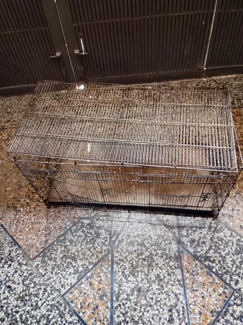 birds cage — photo 3