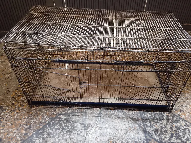 birds cage — photo 4