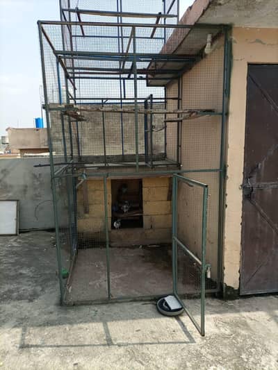 Hen and pigeon iron cage