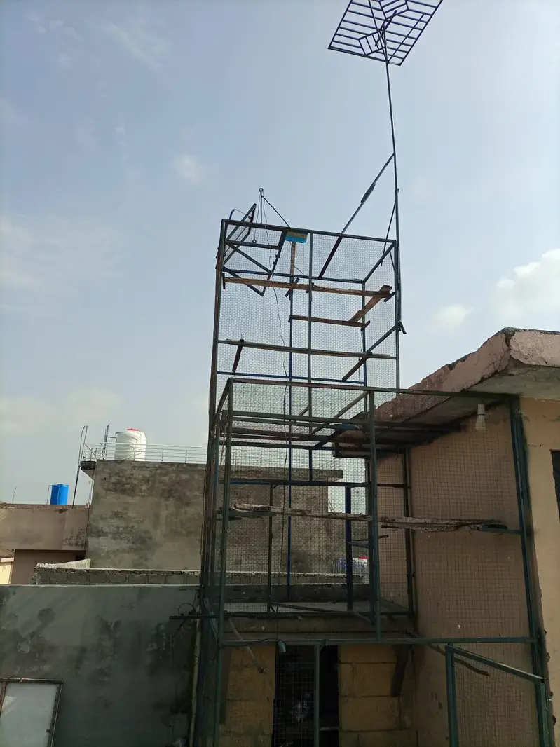 Hen and pigeon iron cage — photo 2