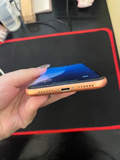 iPhone xr