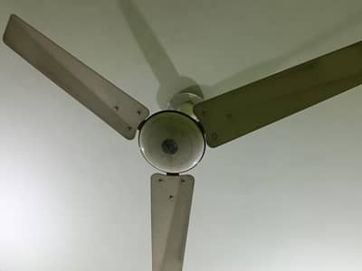 GFC ceiling fan size 56