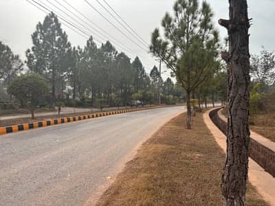 20 Kanal | Main Boulevard | 21 Crore | Sector "A"