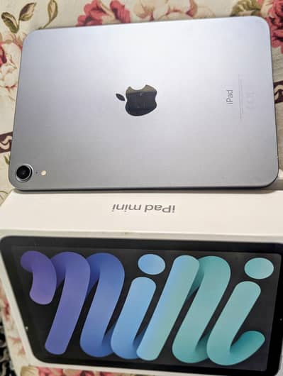 ipad mini 6 256gb