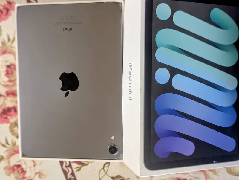 ipad mini 6 256gb 4