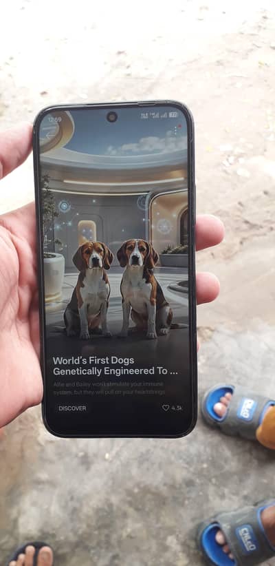 OPPO A6 4G