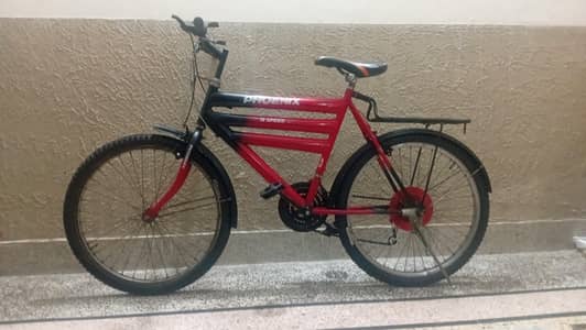 Phoenix Bicycle (Imported) - Kids to Teenagers (8+)