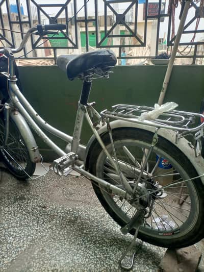 Japanese cycle