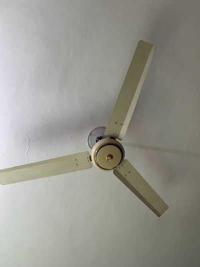 fan for sale