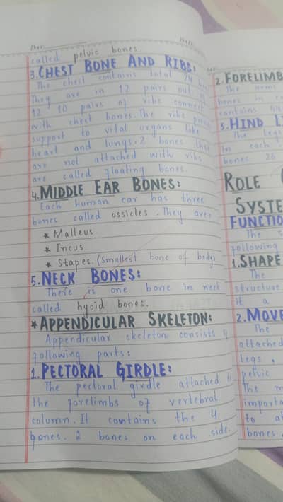 Spring  Assignments